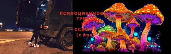 амф Арсеньев