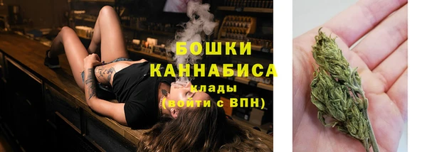 амф Арсеньев