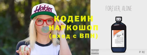 амф Арсеньев